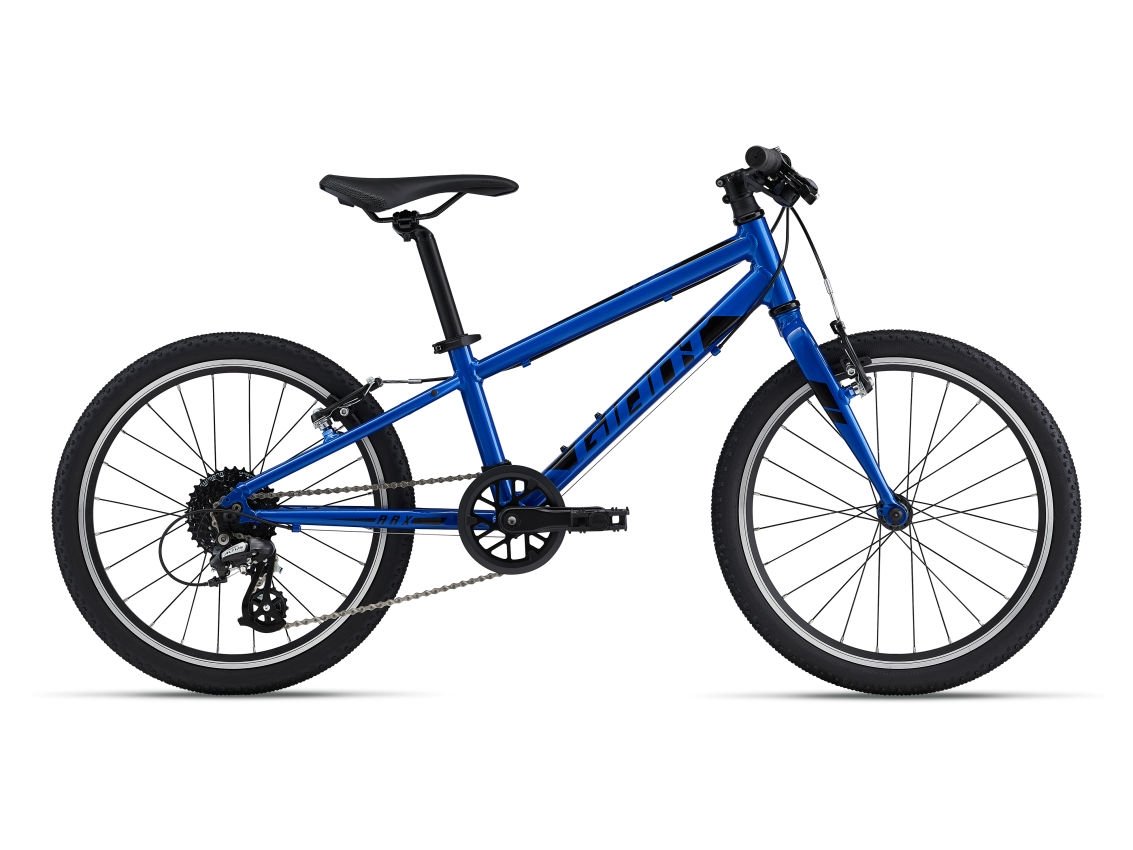 Giant kids mountain outlet bike