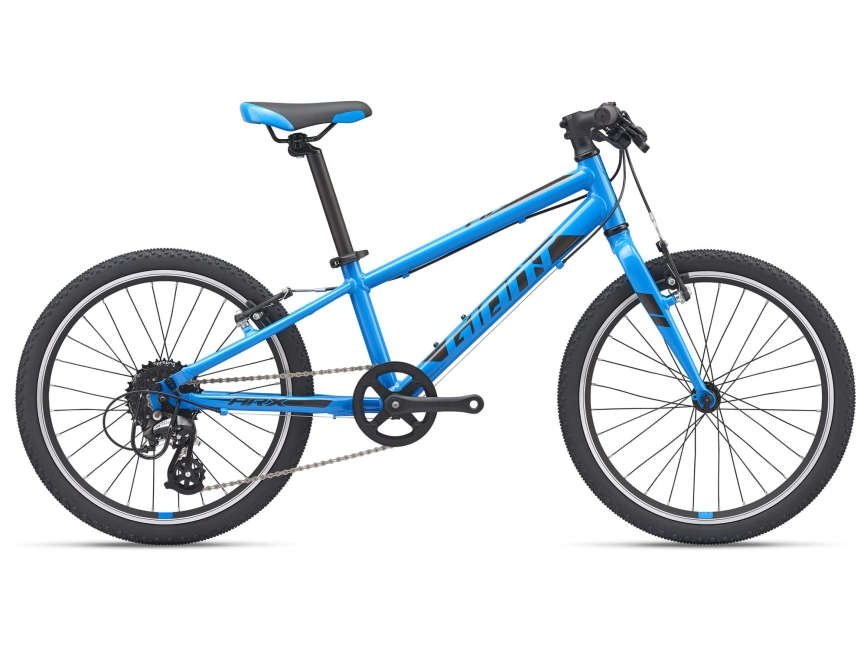 20 inch sale giant mountain bike